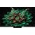  55" Телевизор TCL 55C7K 