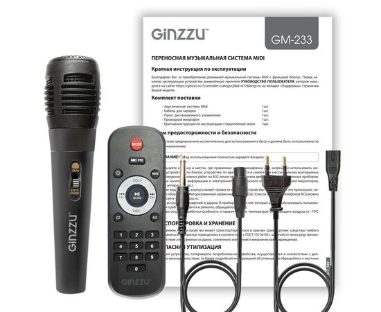  Мидисистема GINZZU GM-233 